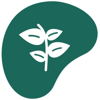 Green https://deglavarezidence.lv/wp-content/uploads/2021/05/Green.png