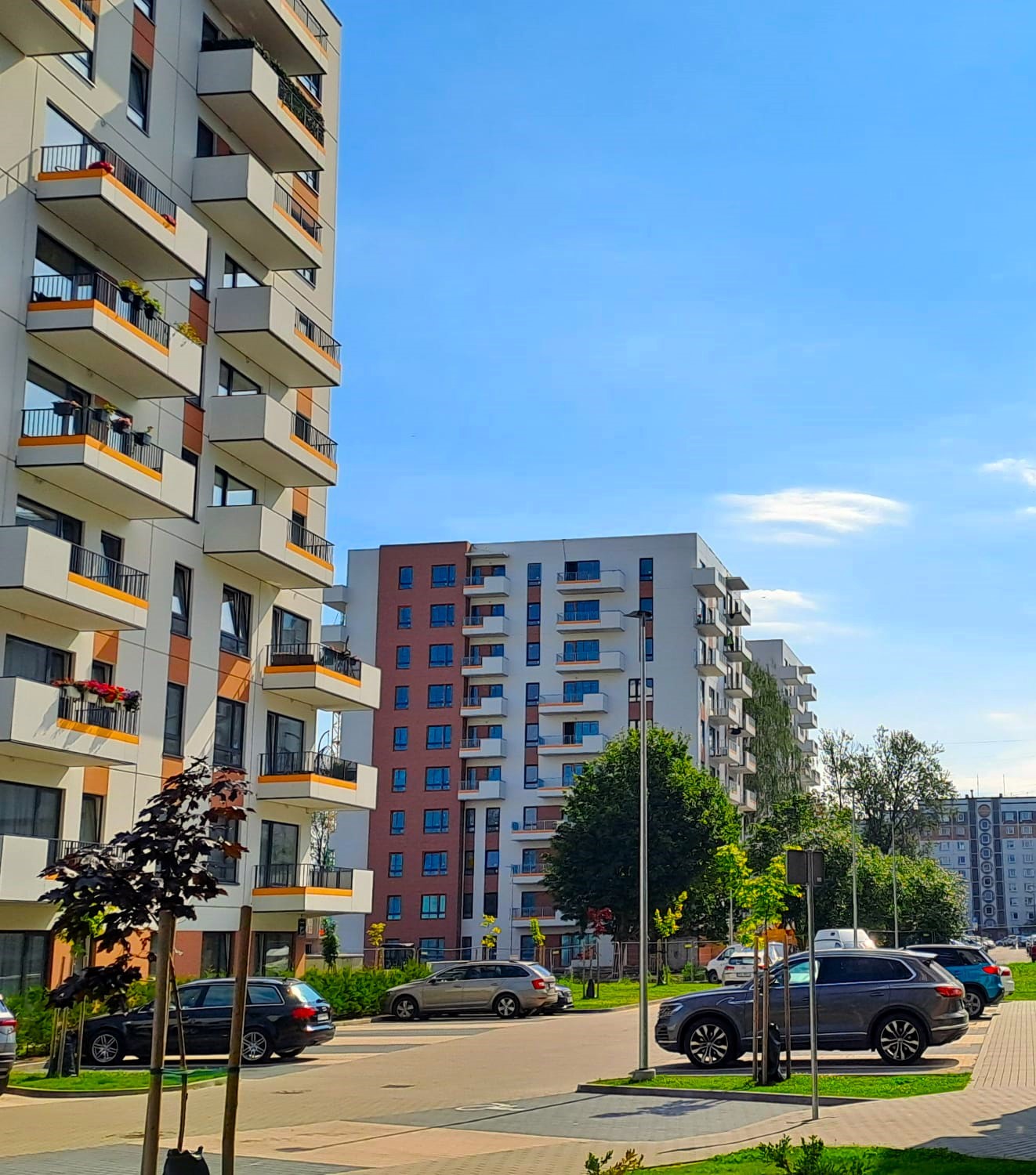 WhatsApp attēls 2024-07-10 plkst. 12.45.36_6aaae649